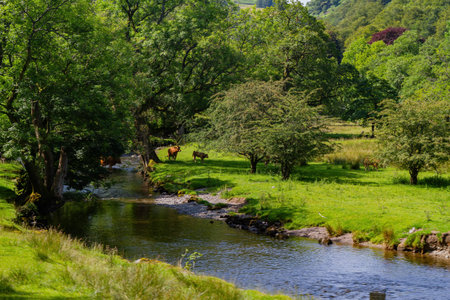 Beautiful nature landscape around Lake Windermere at Ambelside, United Kingdomの写真素材