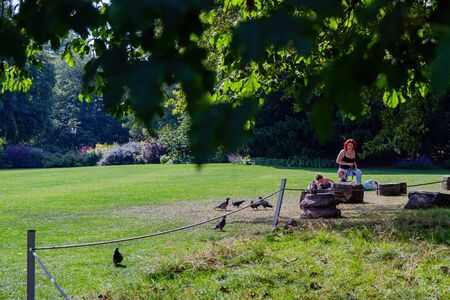 York, JUL 15: Exterior view of the Museum Gardens on JUL 15, 2011 at York, United Kingdomのeditorial素材