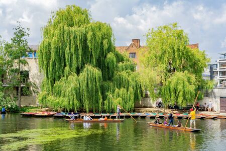 Cambridge, JUL 10: Student punting in the River Cam on JUL 10, 2011 at Cambridge, United Kingdomのeditorial素材