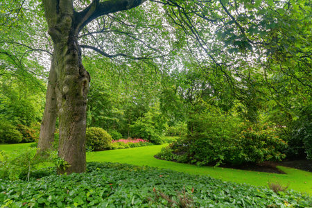 Beautiful natural garden of the Palace of Holyroodhouse at Edinburgh, United Kingdomのeditorial素材