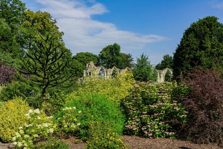 Exterior view of the Museum Gardens at York, United Kingdomのeditorial素材