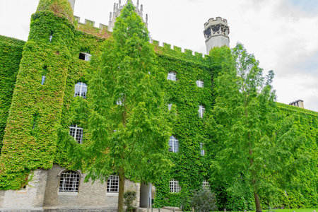 Exterior view of the St John's College with a wall full of plants
