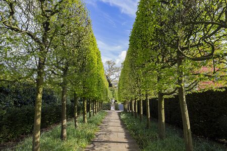 The beautiful natural landscape of the Kew Garden at Richmond, United Kingdomのeditorial素材