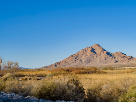 Nature scene of the Wetlands Park at Nevadaの写真素材