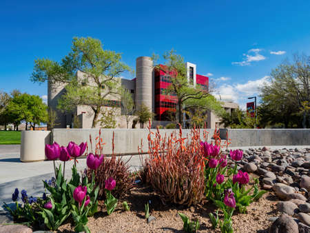 Las Vegas, MAR 15, 2020 - Sunny view of the Rod Lee Bigelow Health Sciences of UNLV with a blossom gardenのeditorial素材