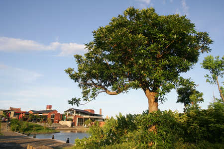 Afternoon view of the Centro Nacional de Artes Tradicionales at Yilan, Taiwanのeditorial素材
