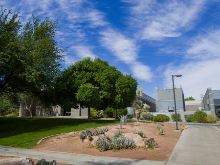 Beautiful nature scene of the UNLV at Las Vegas, Nevada