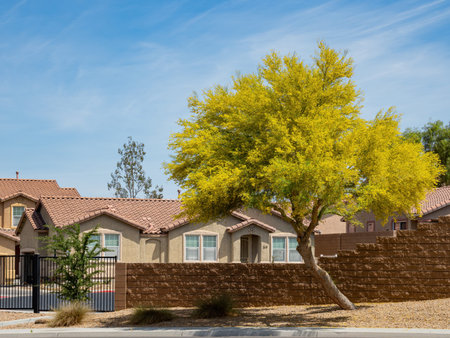 Sunny view of Parkinsonia florida blossom and a beautiful residence building at Las Vegas, Nevada