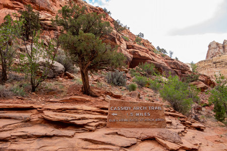 Beautiful landscape along the Cassidy Arch Trail of Capitol Reef National Park at Utahの写真素材