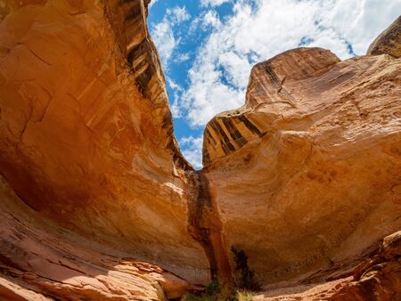 Beautiful landscape around the Hickman Bridge Trail of Capitol Reef National Park at Utahの写真素材