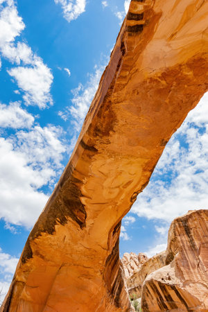 Sunny view of the Hickman Bridge of Capitol Reef National Park at Utahの写真素材