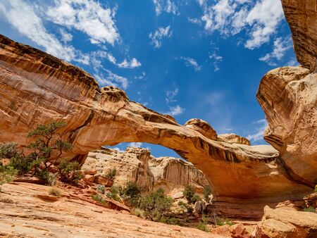 Sunny view of the Hickman Bridge of Capitol Reef National Park at Utahの写真素材