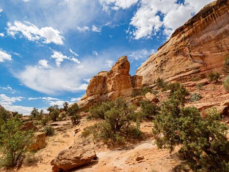 Sunny view of the Hickman Bridge of Capitol Reef National Park at Utahの写真素材