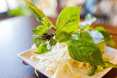 Close up shot of Bean Sprouts,Brussels at Las Vegas, Nevada