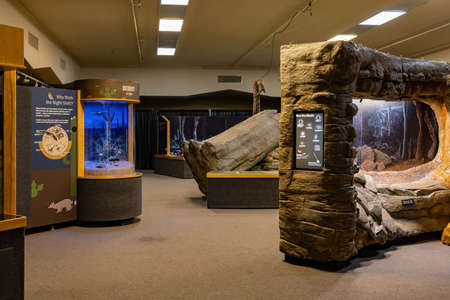 Las Vegas, OCT 4, 2020 - Interior view of the Las Vegas Natural History Museumのeditorial素材