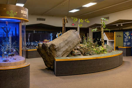 Las Vegas, OCT 4, 2020 - Interior view of the Las Vegas Natural History Museumのeditorial素材