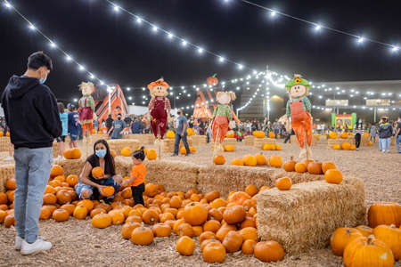 Las Vegas, OCT 23, 2020 - Night view of a pumpkin patchのeditorial素材