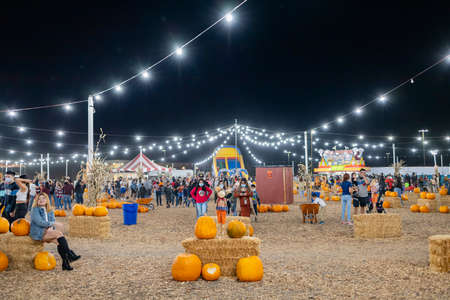 Las Vegas, OCT 23, 2020 - Night view of a pumpkin patchのeditorial素材