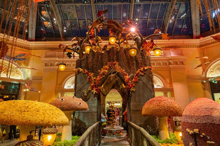 Las Vegas, OCT 30, 2020 - Autumn theme of the famous Bellagio Conservatory and Botanical Gardensのeditorial素材