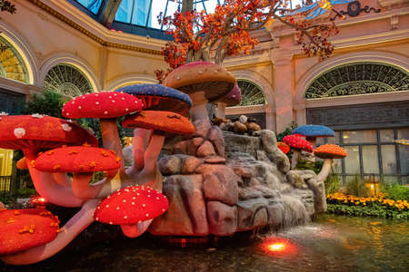 Las Vegas, OCT 30, 2020 - Autumn theme of the famous Bellagio Conservatory and Botanical Gardensのeditorial素材
