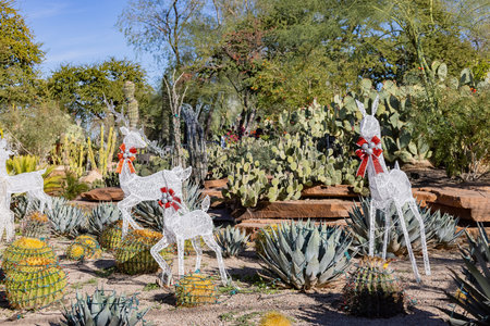 Afternoon view of the cactus garden with christmas decoration of Ethel M Chocolate Factory at Nevadaの写真素材