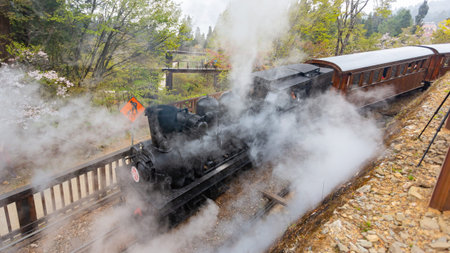 Morning view of the Yoshino cherry tree blossom and railway at Taiwanの写真素材