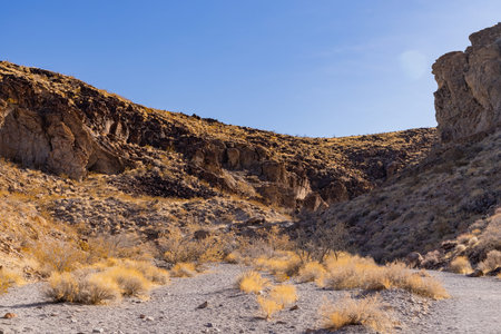 Sunny view of the beautiful landscape around Petroglyph Canyon Trail Las Vegas, Nevadaの写真素材