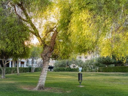 Afternoon view of the beautiful scenery around Lake Las Vegas at Nevadaの写真素材