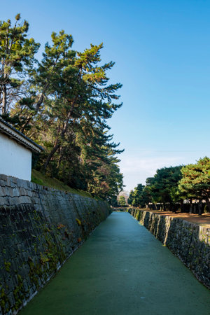 Sunny exterior view of the historical Nijo Castle at Kyoto, Japanのeditorial素材