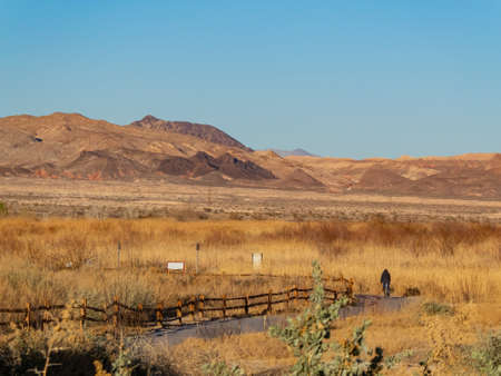 Sunny landscape of the wetlands park at Las Vegas, Nevadaの写真素材