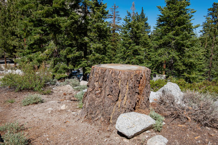 Beautiful landscape around Mount Whitney Trail at California