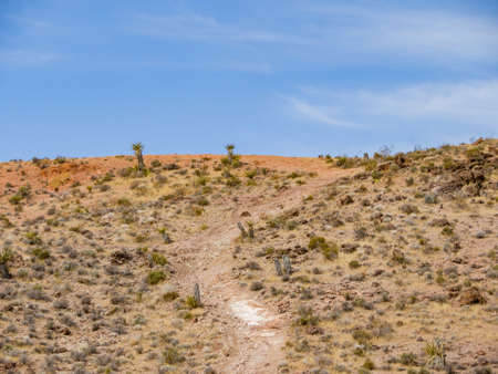 Beautiful landscape around the El Dorado Trail at Nevadaの写真素材