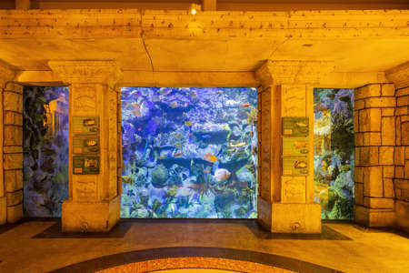 Las Vegas, JUN 29, 2021 - Interior view of the Shark Reef Aquariumのeditorial素材