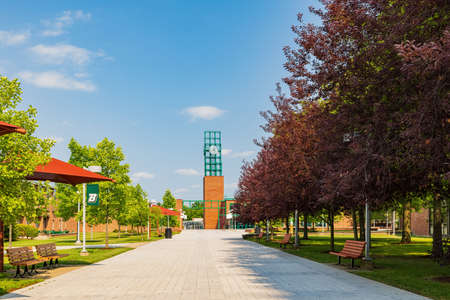 Sunny view of the famous Binghamton University at New Yorkの写真素材