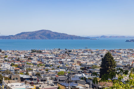 Sunny high angle view of some residence building from Lyon Street Steps at San Francisco, California