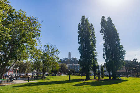 Sunny view of the Washington Square at San Franciscoの写真素材