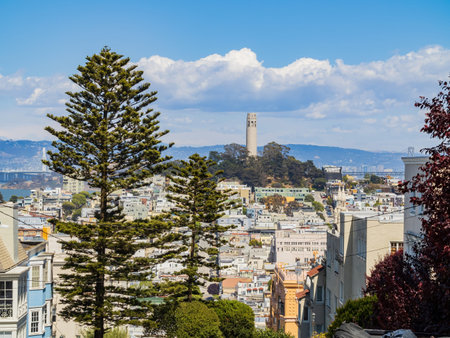 Sunny view of the Coit Tower and cityscape at San Francisco, California