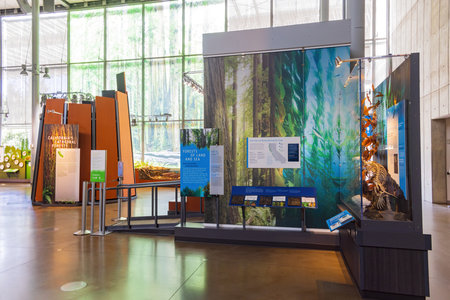 San Francisco, MAY 20, 2021 - Interior view of the California Academy of Sciencesのeditorial素材