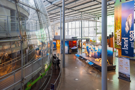 San Francisco, MAY 20, 2021 - Interior view of the California Academy of Sciencesのeditorial素材