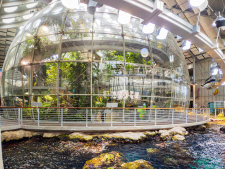 San Francisco, MAY 20, 2021 - Rainforest of the California Academy of Sciencesのeditorial素材