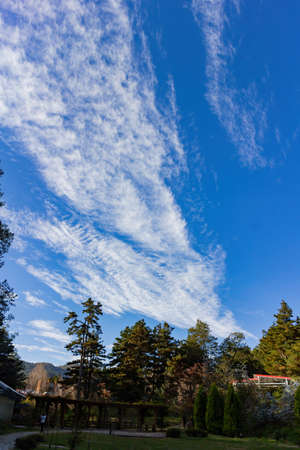 Autumn landscape in Wuling Farm at Taichung, Taiwanの写真素材