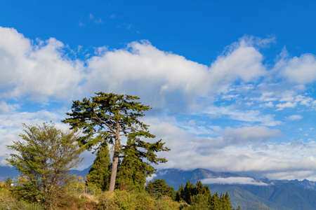 Autumn mountain landscape in Wuling Farm at Taichung, Taiwanの写真素材