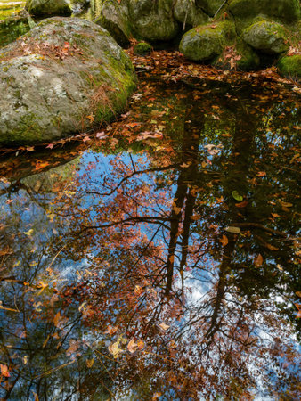 Autumn landscape with a pond reflection in Wuling Farm at Taichung, Taiwanの写真素材