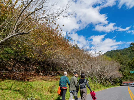 Taichung, NOV 4, 2012 - Tourist walking in the Wuling Farmのeditorial素材