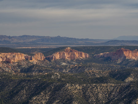 Beautiful sunny view of the Rainbow point of Bryce Canyon National Park at Utahの写真素材