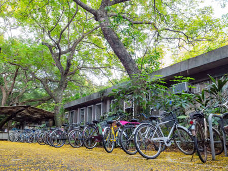 Close up shot of many bicycle in campus of National Taiwan University at Taipei, Taiwanのeditorial素材