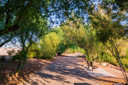 Nature landscape in Henderson Bird Viewing Preserve at Nevadaの写真素材
