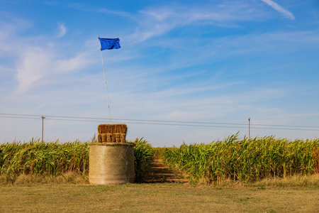 Sunny view of the fun Daze in a Maze at Oklahoma