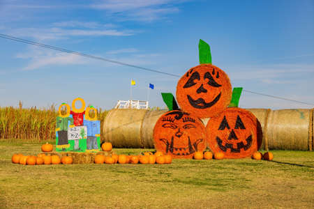 Oklahoma, OCT 23, 2021 - Sunny view of the fun Daze in a Mazeのeditorial素材