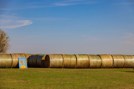 Oklahoma, OCT 23, 2021 - Sunny view of the fun Daze in a Maze